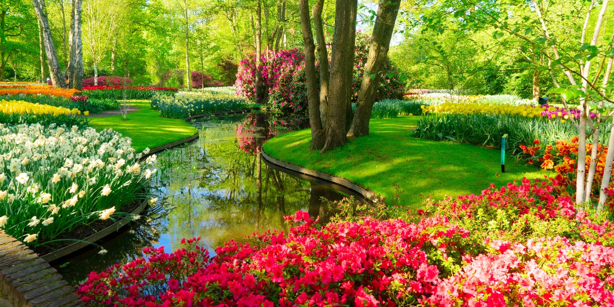 Fall Lawn Fertilizing